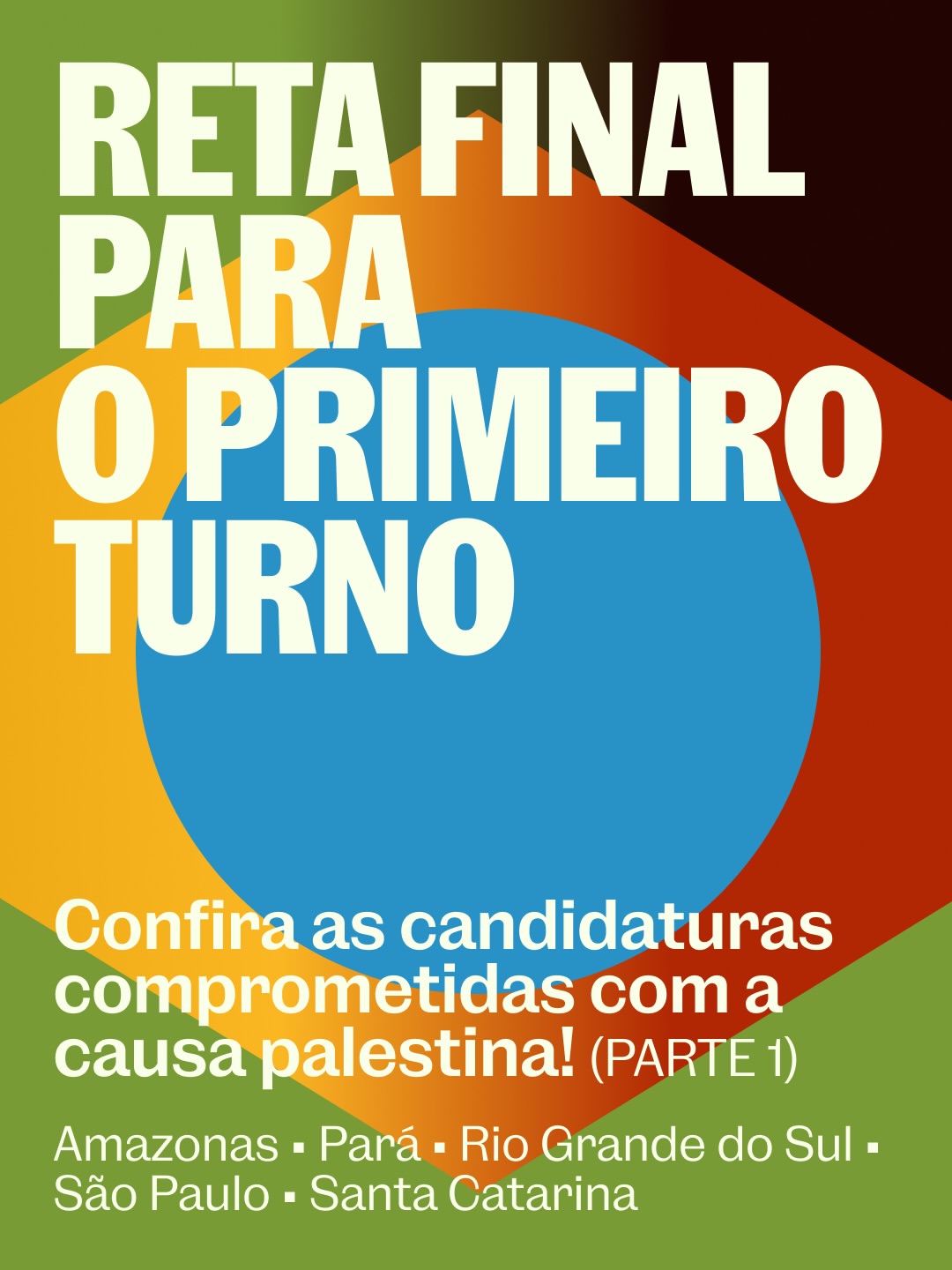 Vote pela Palestina preview