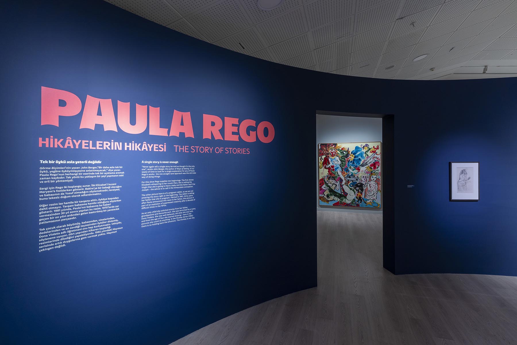 Paula Rego preview